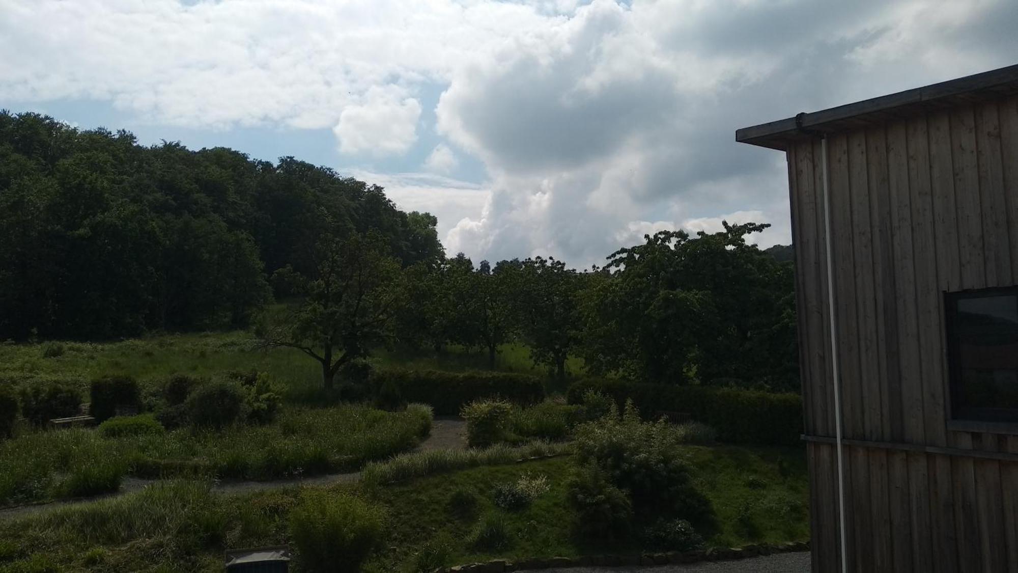 Sonnige Ferienwohnung Am Sternberg Extertal Bagian luar foto